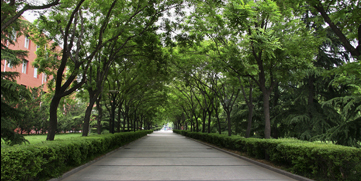 首页| G22恒峰集团中国官方网站